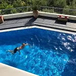 Bellissima *